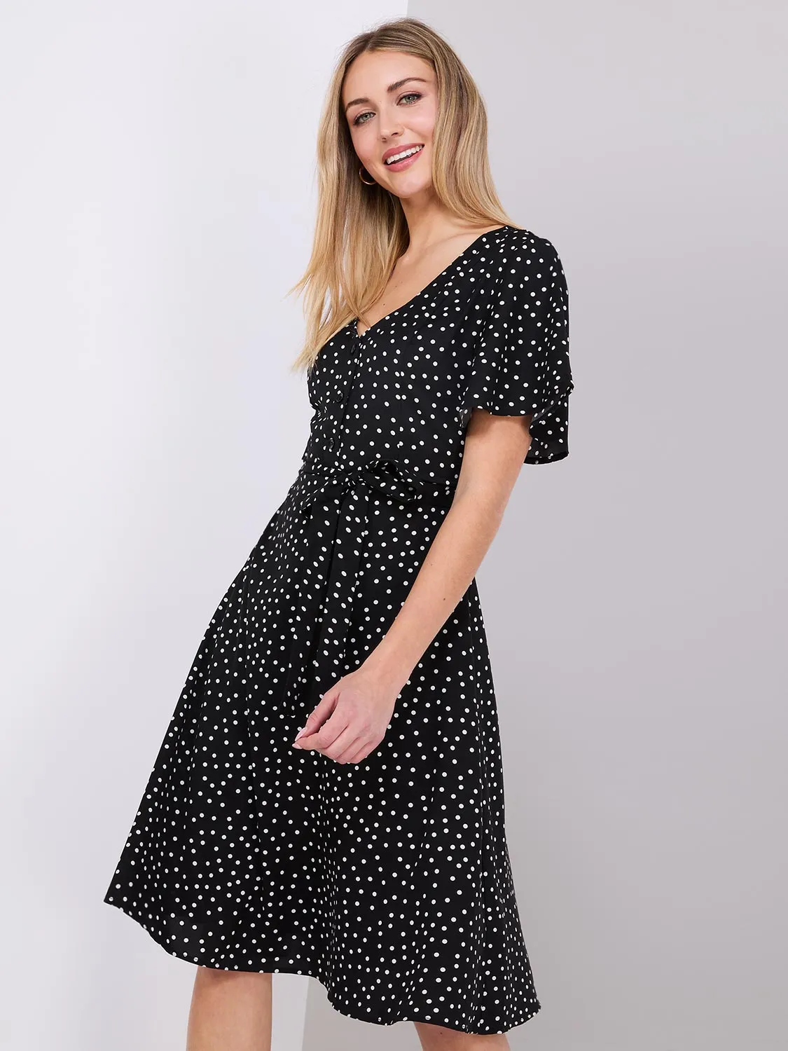 Dot Print V-Neck Fit & Flare Dress