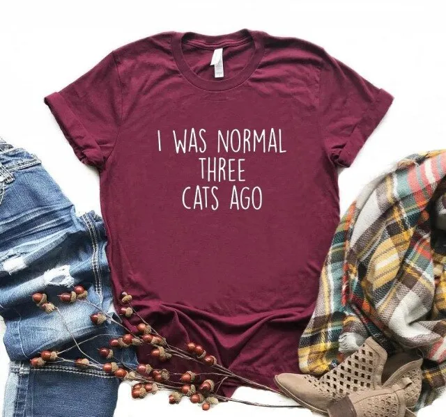 I WAS NORMAL THREE CATS AGO Women's T-shirt