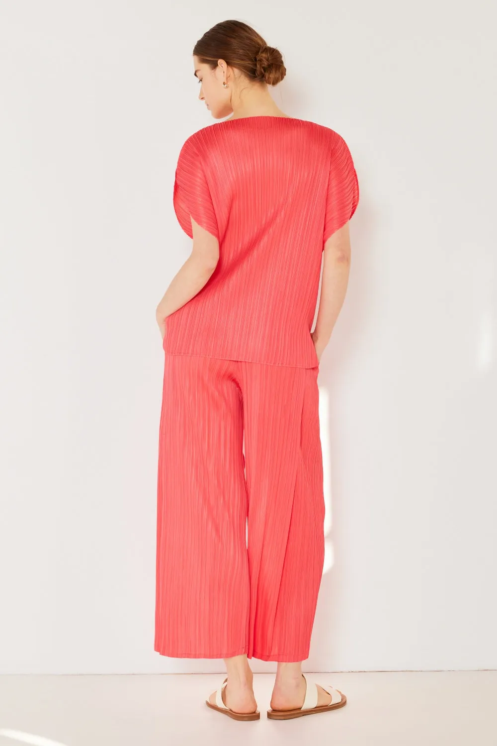 Pleated Wide-Leg Pants with Side Pleat Detail