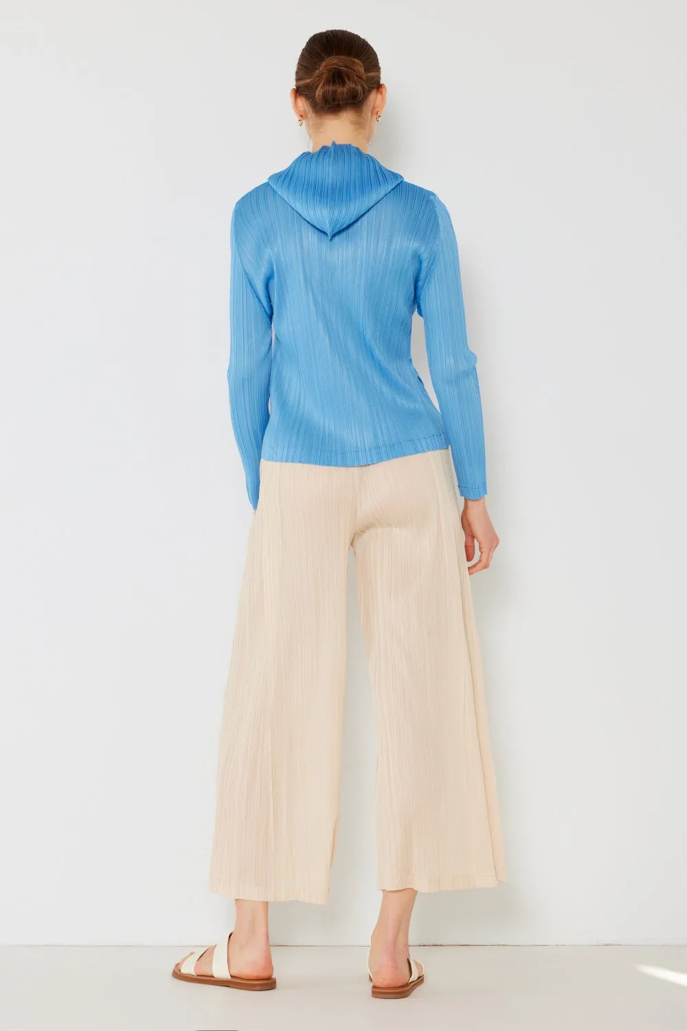 Pleated Wide-Leg Pants with Side Pleat Detail